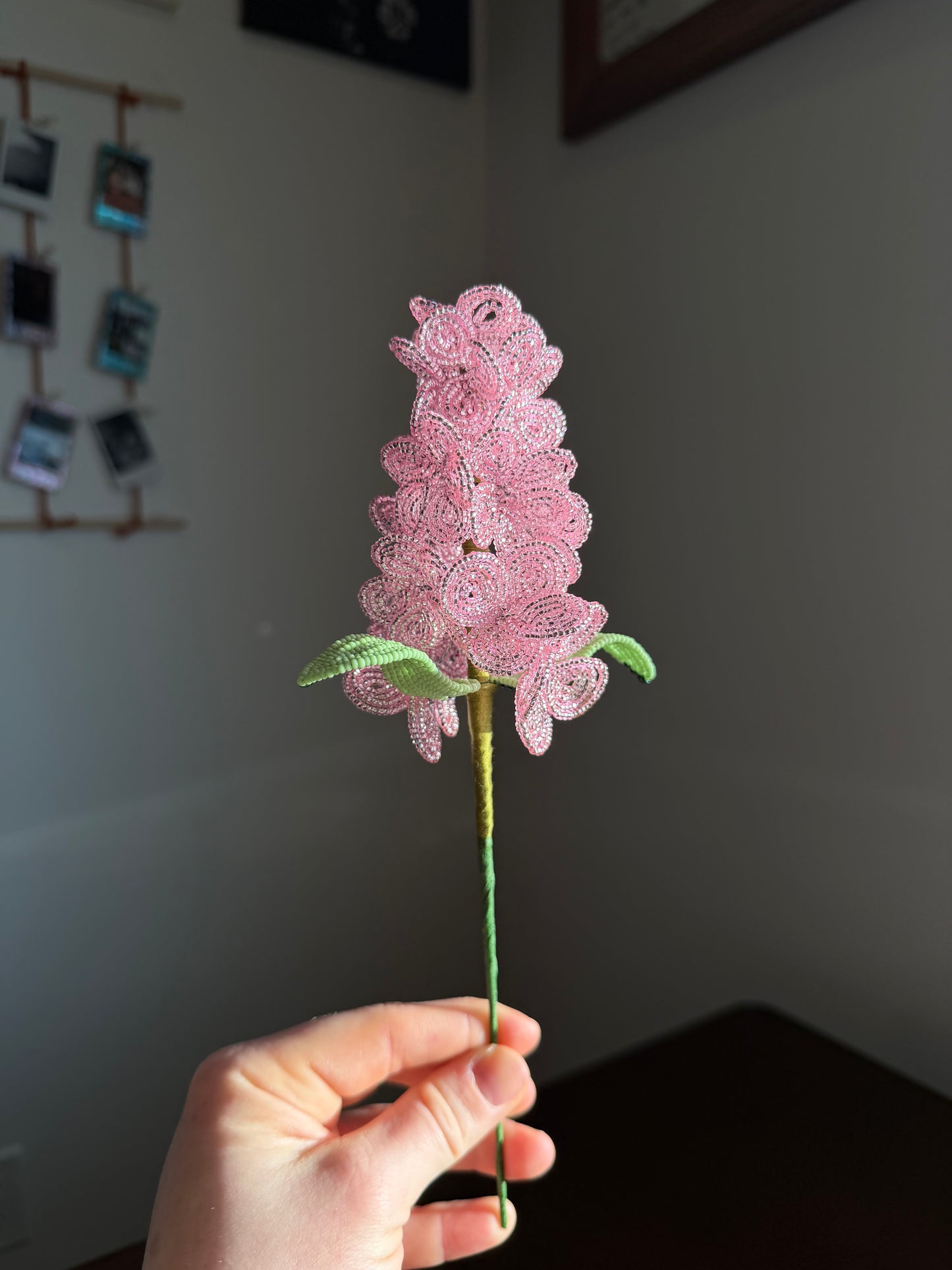 Hydrangea