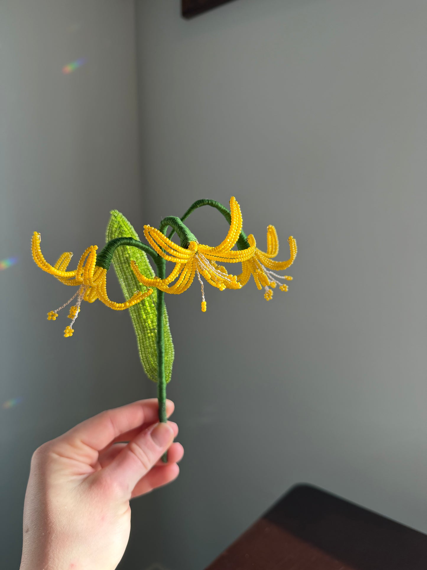 Glacier Lily