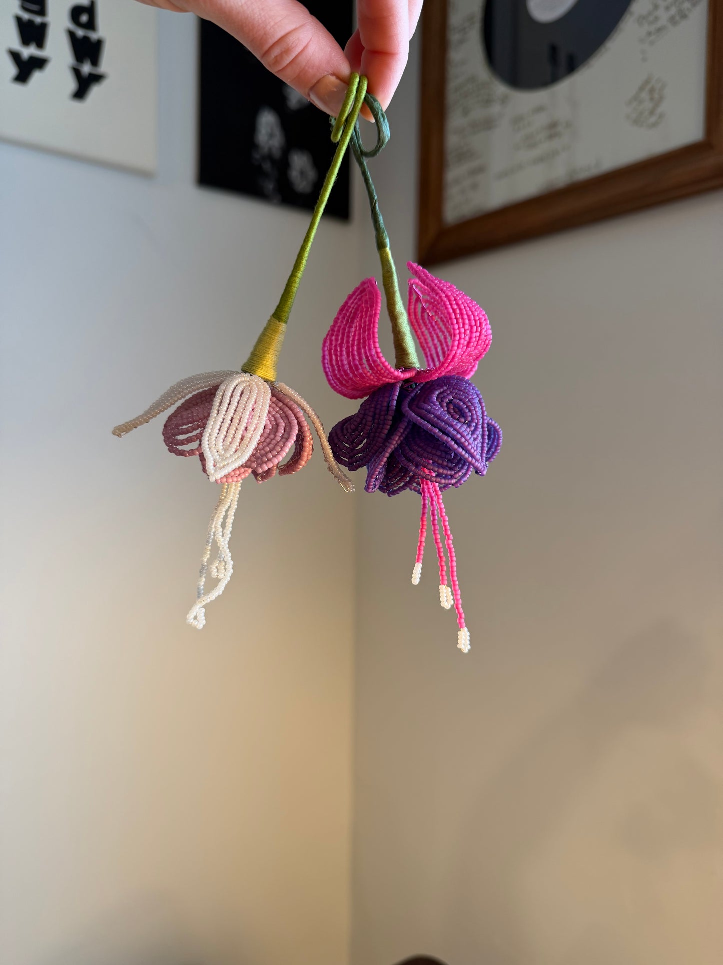 Fuchsia