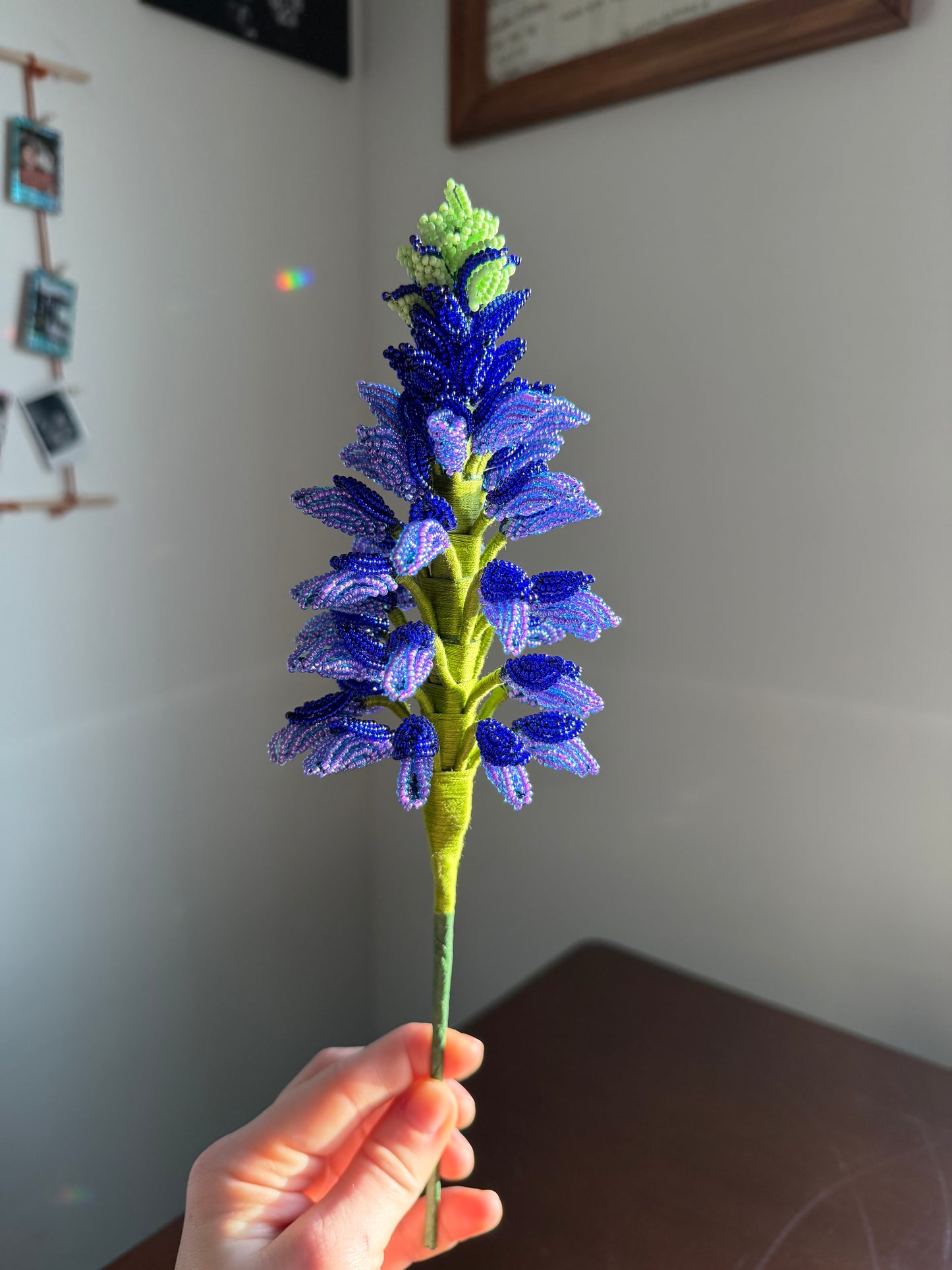 Lupine