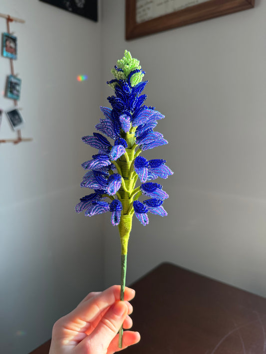 Lupine