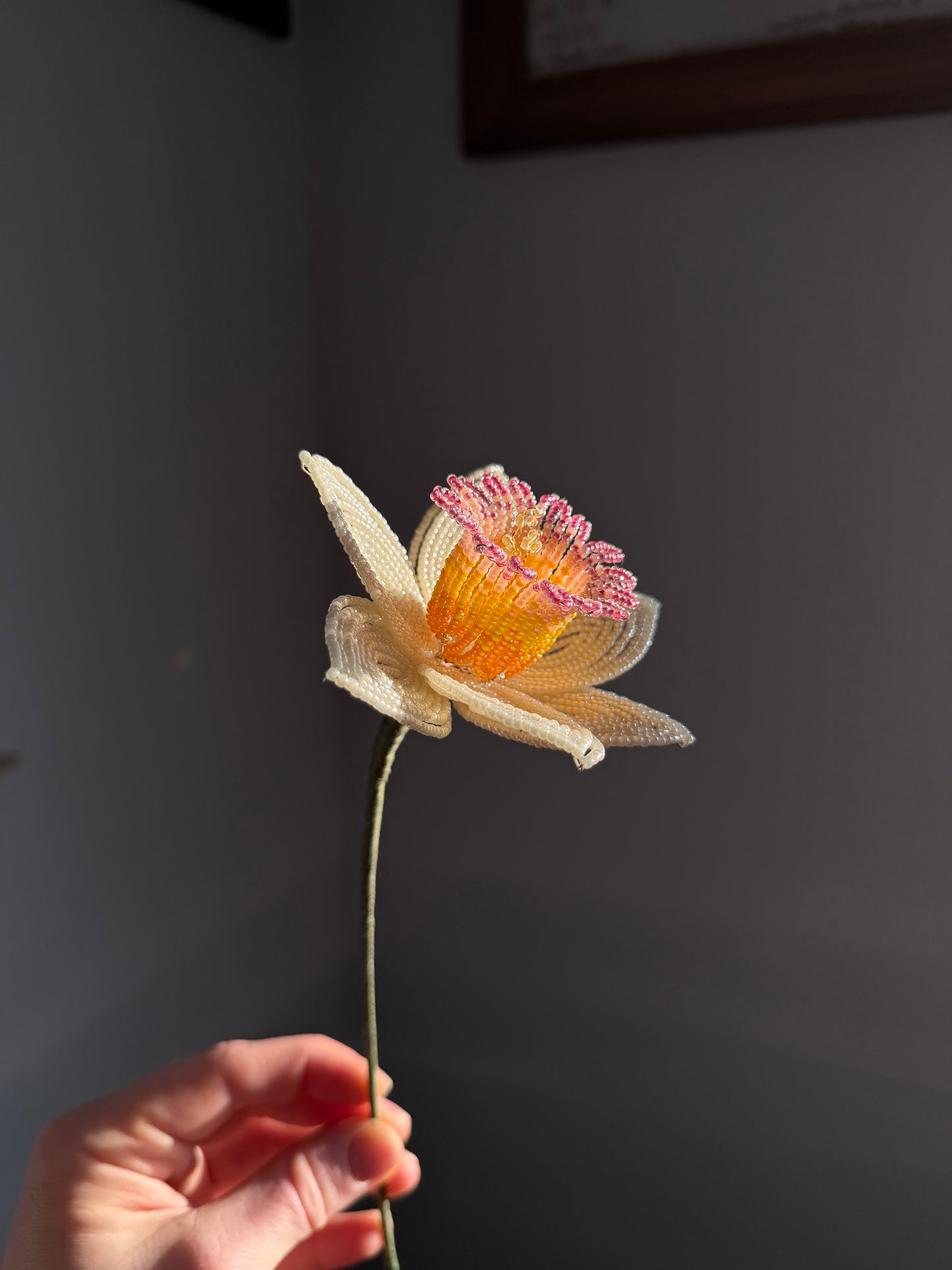 Daffodil
