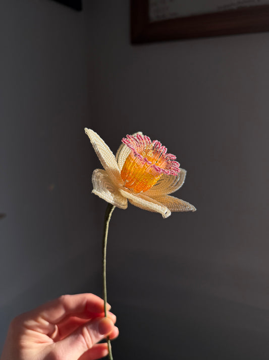 Daffodil